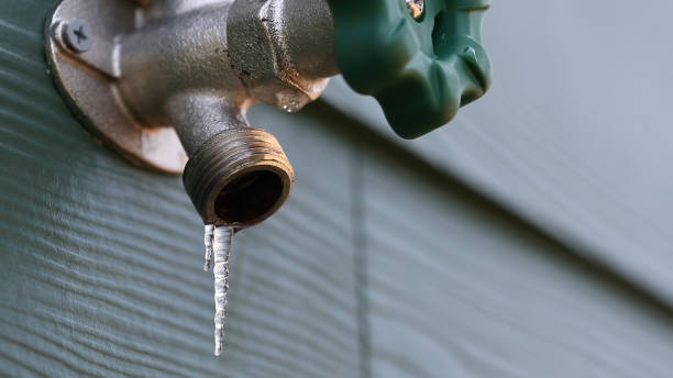 Best Clogged Drain Plumber  in Lacon, IL